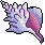 Sea Shell