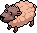 Mouton Korea